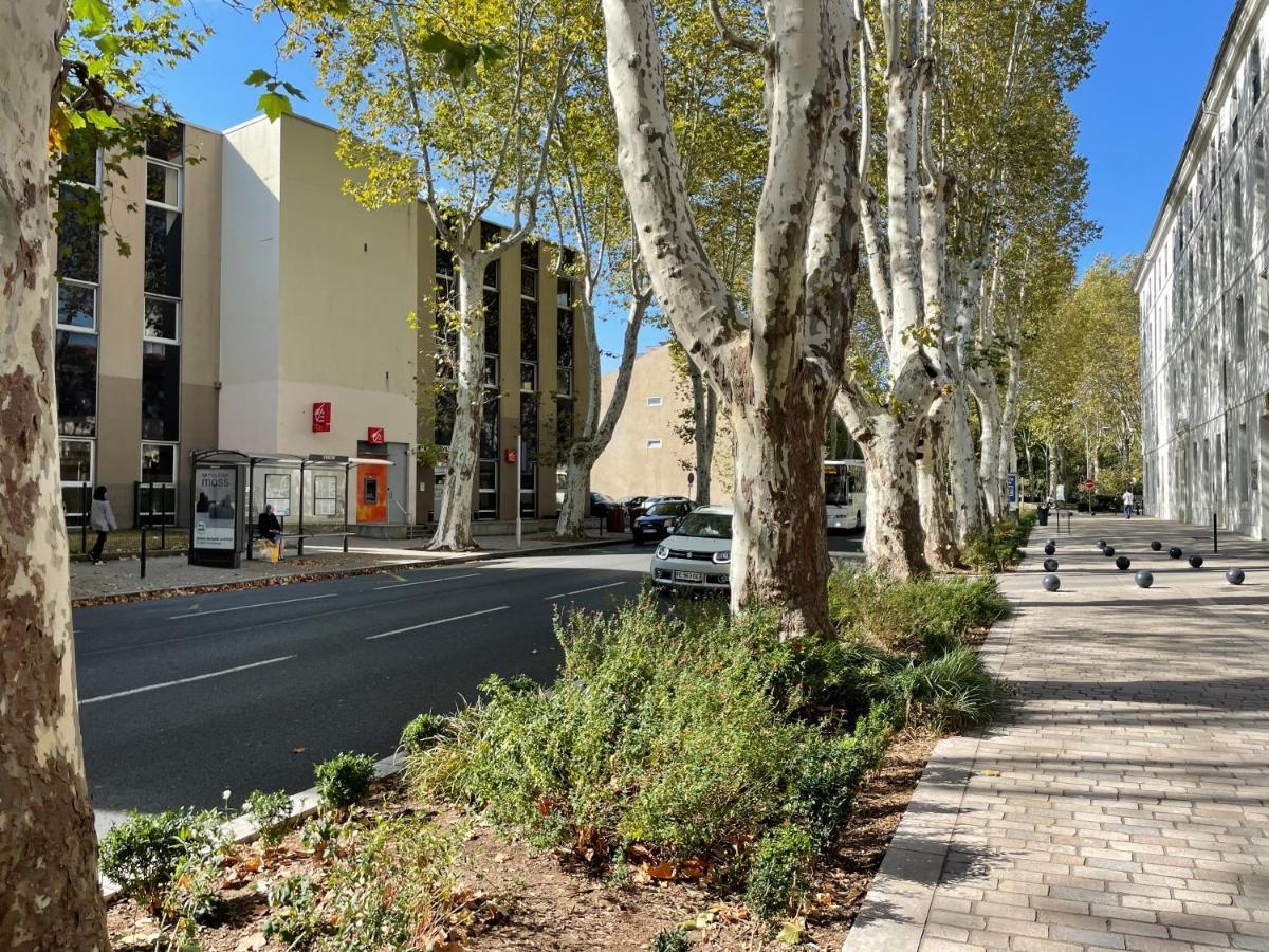 L'Eveche - T3 Spacieux & Traversant En Hypercentre Castres  Esterno foto