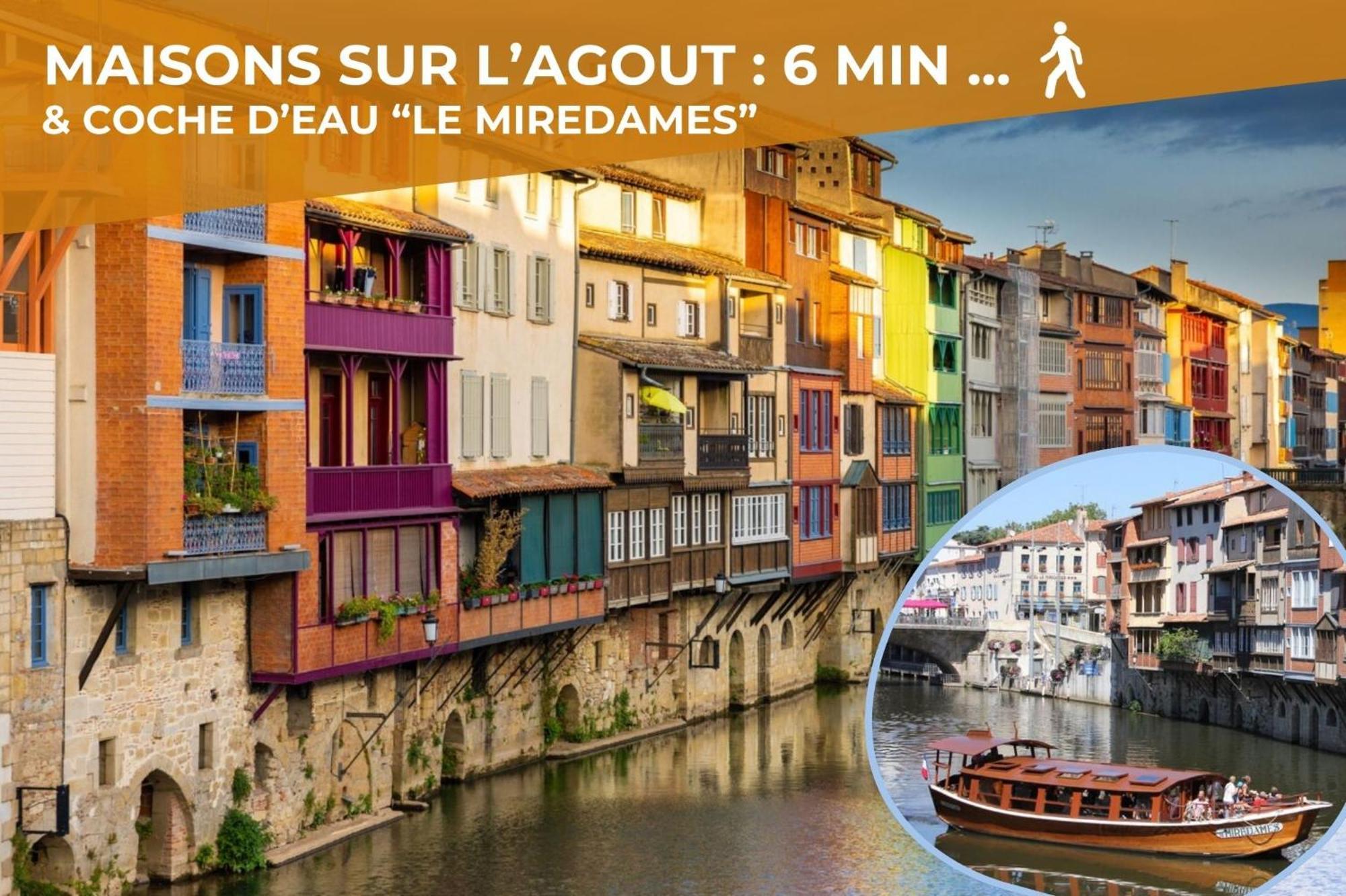 L'Eveche - T3 Spacieux & Traversant En Hypercentre Castres  Esterno foto